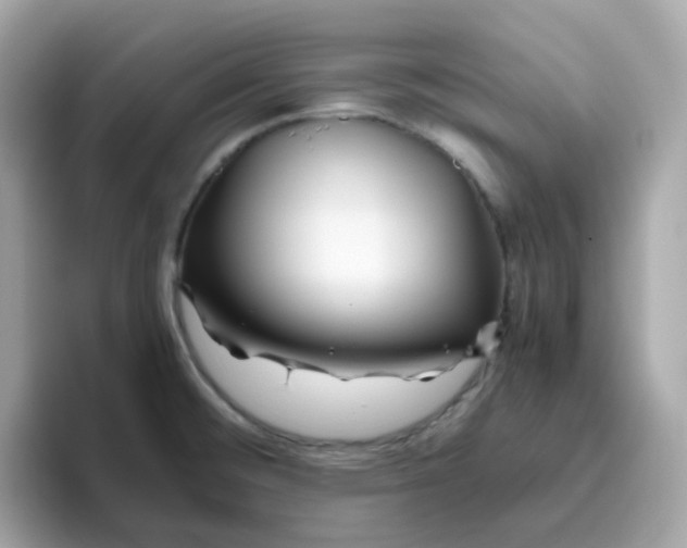 X0000096461476200802141522