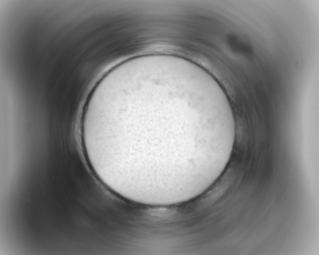 X0000096461478200802141522