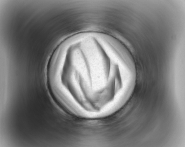 X0000096461479200802141522