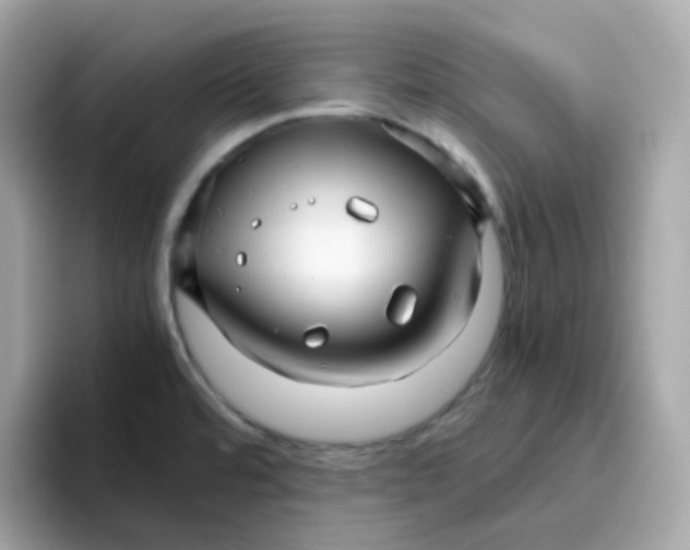 X0000096461480200802141522