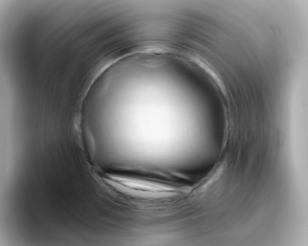 X0000096461481200802141522