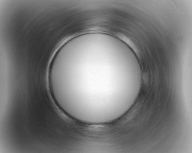 X0000096461482200802141522