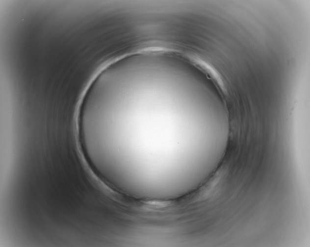 X0000096461483200802141522
