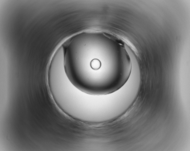 X0000096461484200802141522