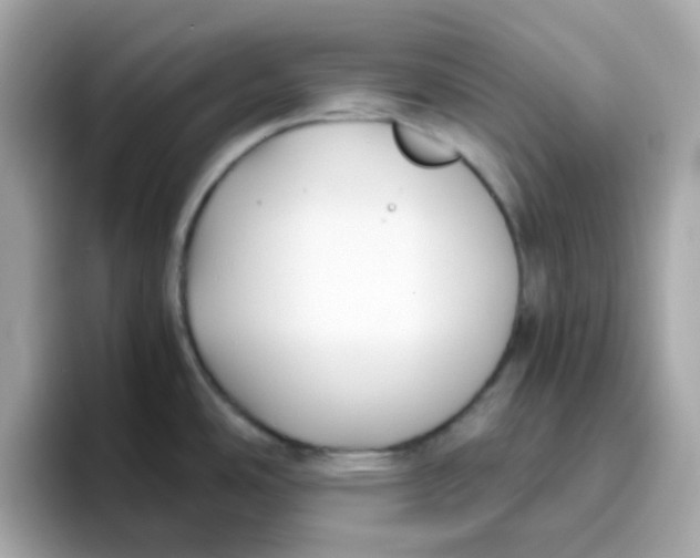 X0000096461486200802141522