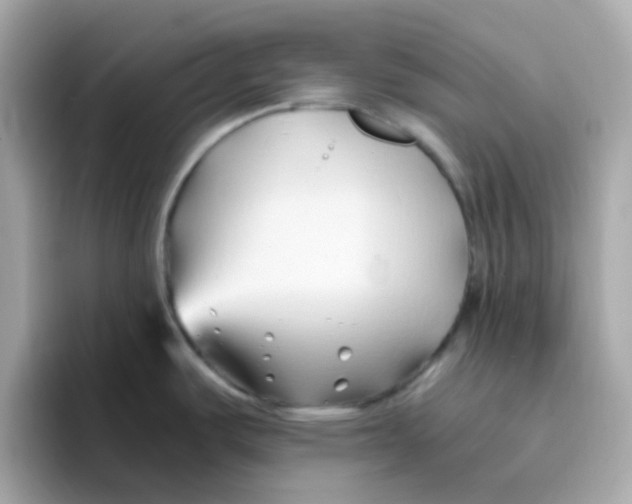 X0000096461487200802141522