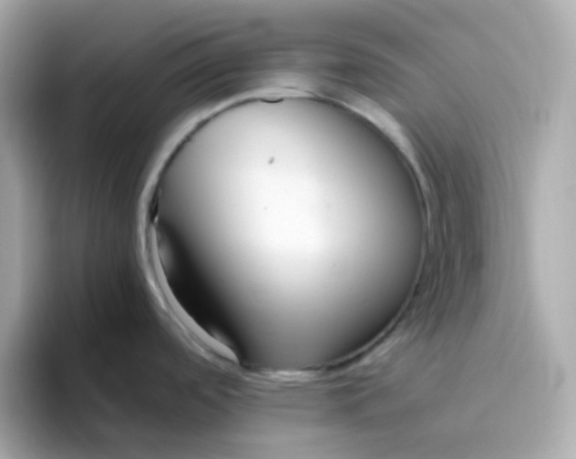X0000096461488200802141522