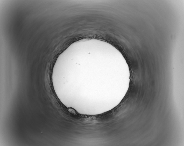 X0000096461489200802141521