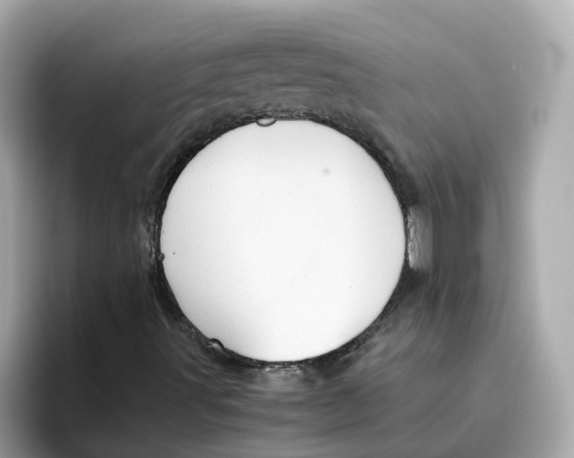 X0000096461491200802141521
