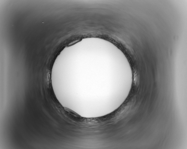 X0000096461492200802141521