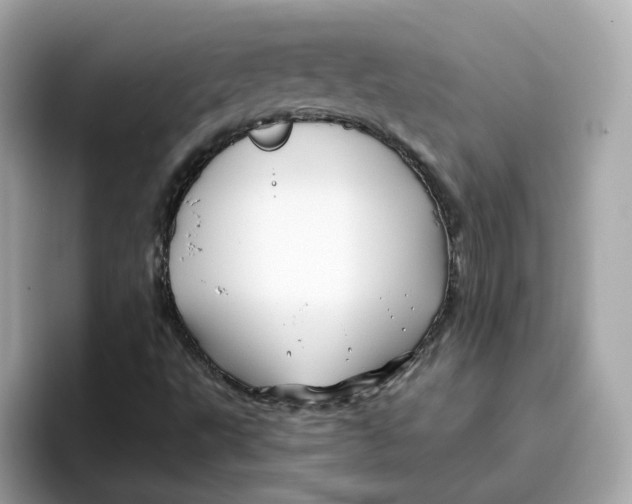 X0000096461495200802141521