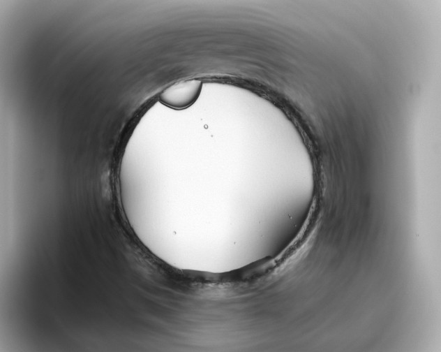 X0000096461497200802141521