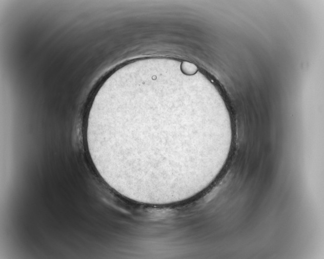 X0000096461498200802141521