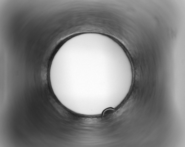 X0000096461499200802141522