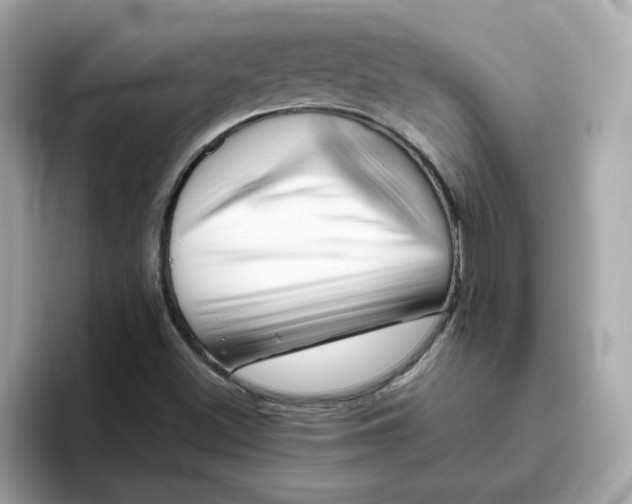 X0000096461500200802141522