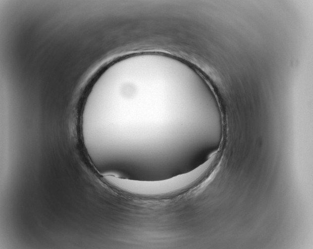 X0000096461502200802141522