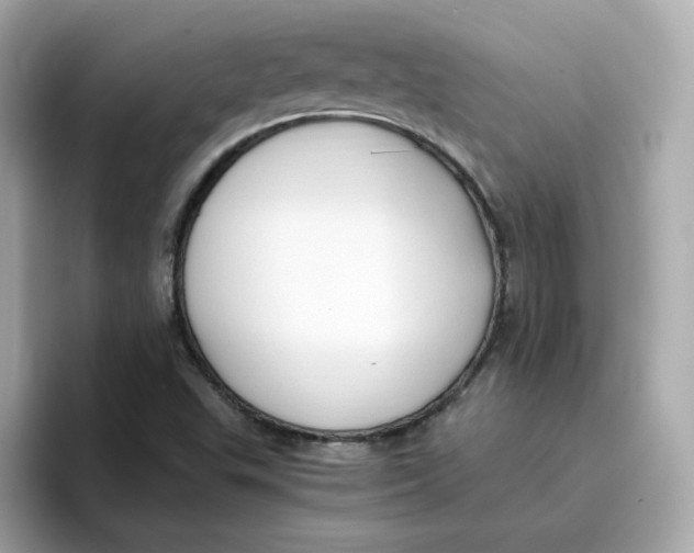 X0000096461503200802141522