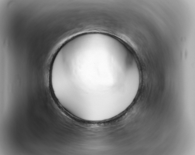 X0000096461504200802141522