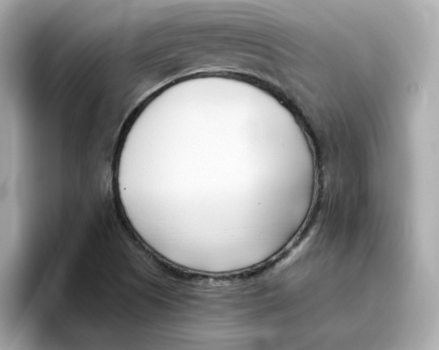 X0000096461505200802141522