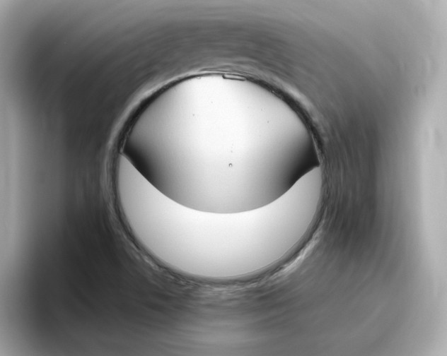 X0000096461506200802141522