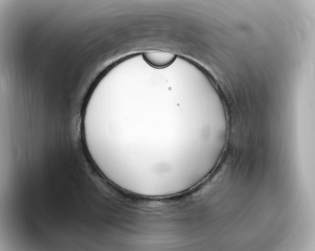 X0000096461507200802141522