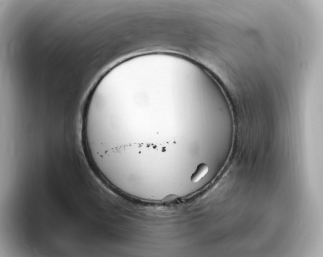 X0000096461508200802141522