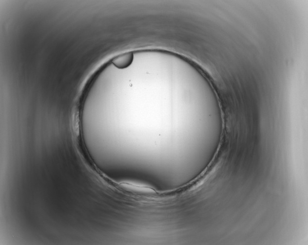 X0000096461510200802141522