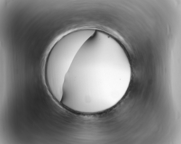 X0000096461512200802141522