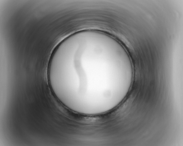 X0000096461513200802141522