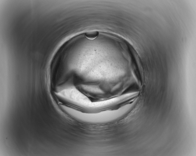 X0000096461515200802141522
