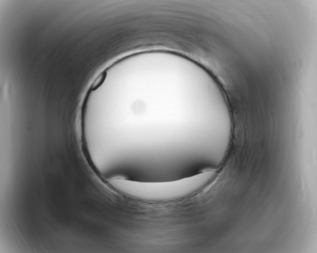 X0000096461516200802141522