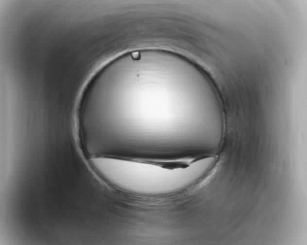 X0000096461517200802141522
