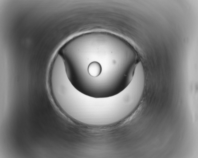 X0000096461518200802141522