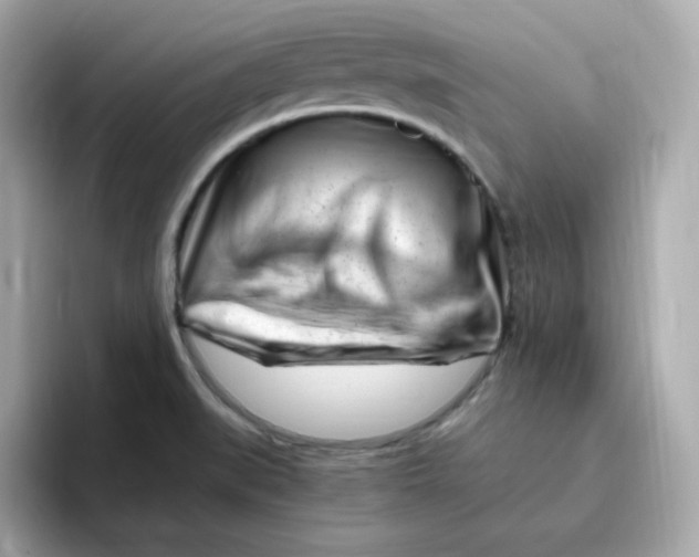X0000096461519200802141522