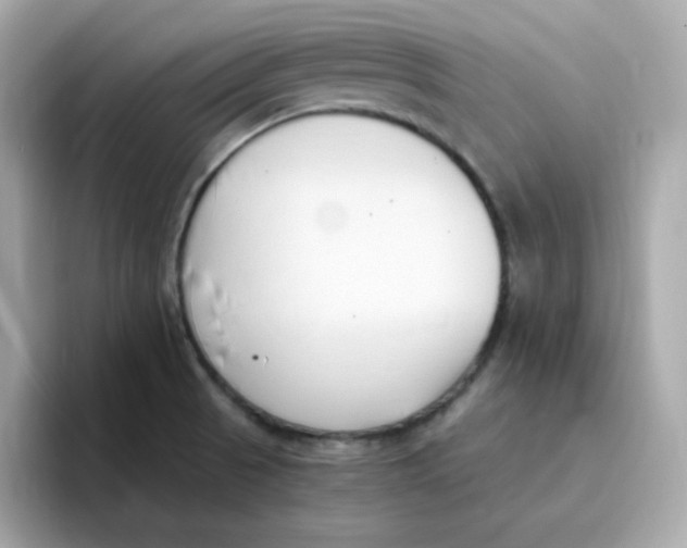 X0000096461521200802141522