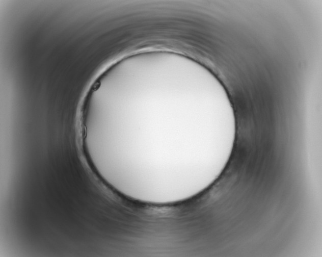 X0000096461522200802141522