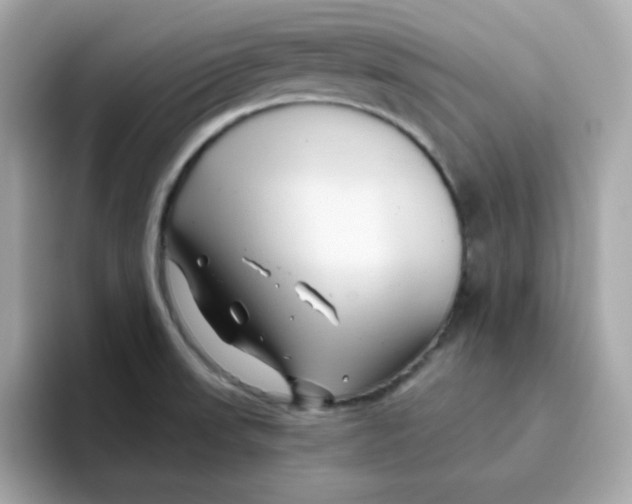 X0000096461523200802141522