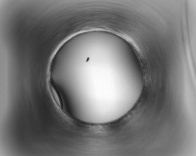 X0000096461524200802141522