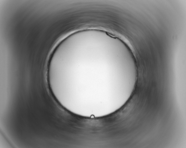 X0000096461525200802141522
