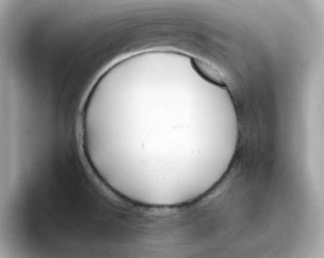 X0000096461526200802141522
