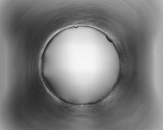 X0000096461527200802141522