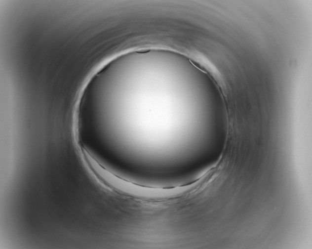 X0000096461528200802141522