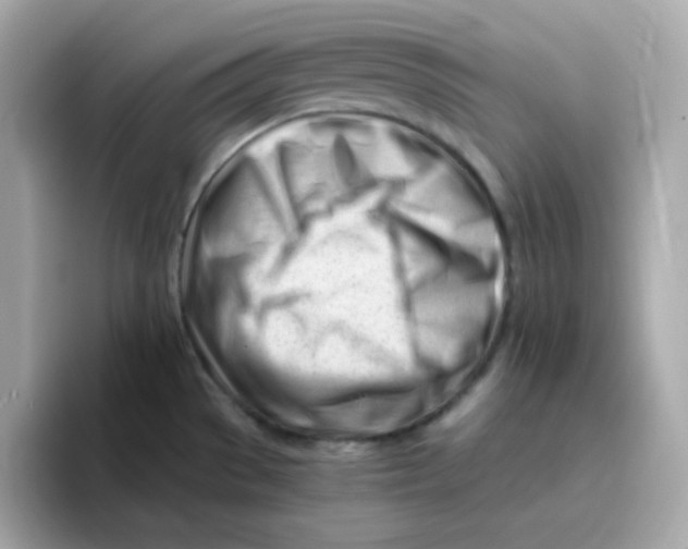 X0000096461529200802141522