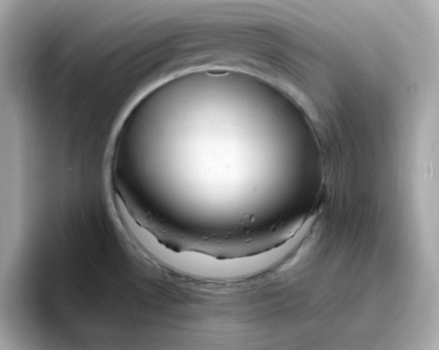 X0000096461530200802141522