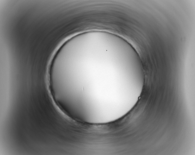 X0000096461531200802141522