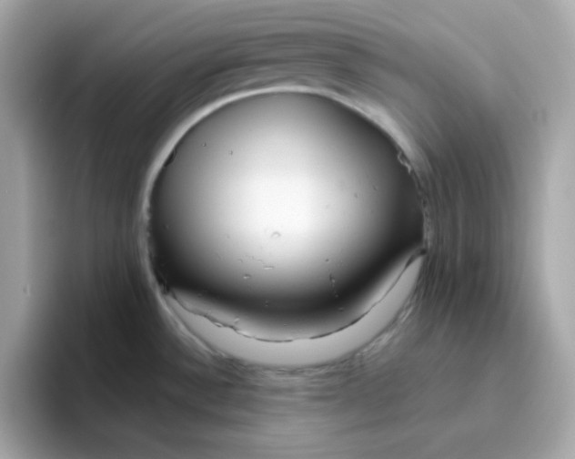 X0000096461532200802141522