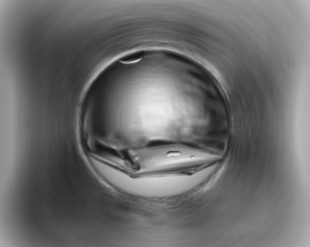X0000096461533200802141522