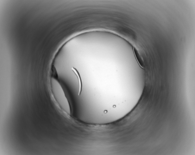 X0000096461534200802141522