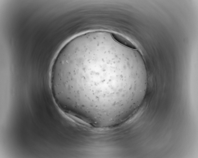 X0000096461535200802141522