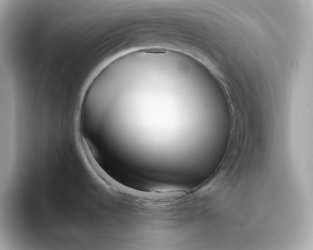X0000096461536200802141522